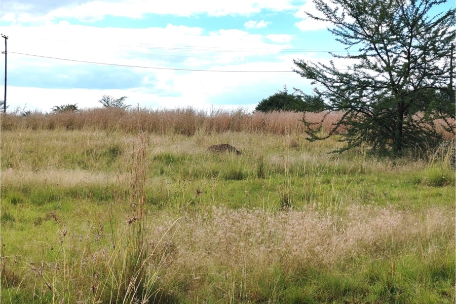 0 Bedroom Property for Sale in Oranjeville Free State